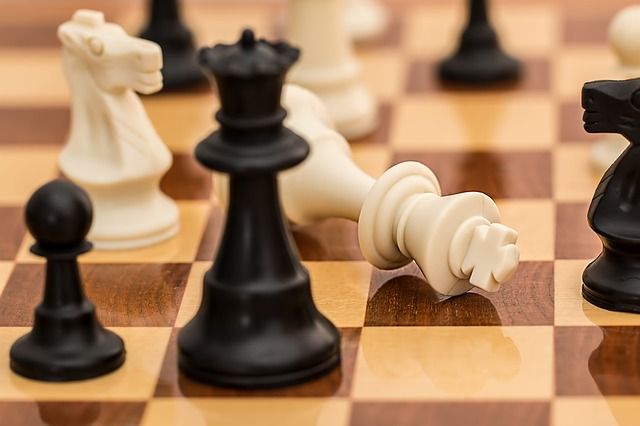 Шахматный форум «Карельская сказка»