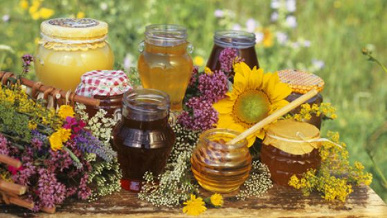 Праздник "Марьянне" Сельский туризм -Пчеловодство 