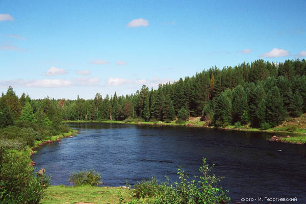 Река Чирка-Кемь