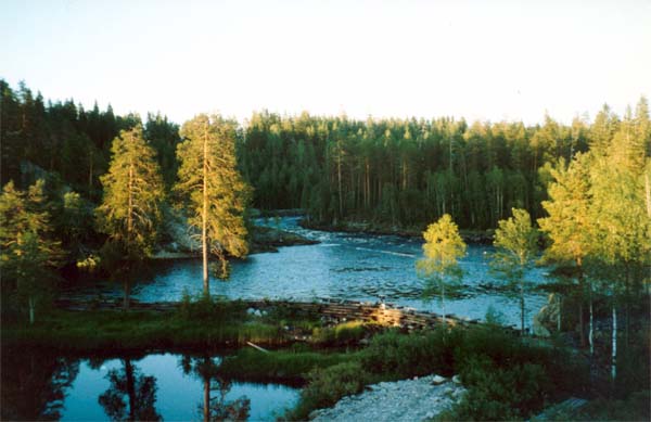Вид со скалы на долину между порогами Кривой и Тахко-Падун. Фото К.Волкова