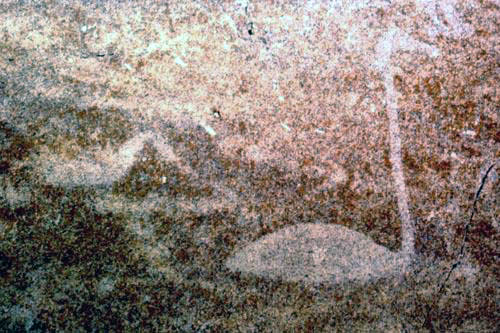 Петроглифы. Лебедь