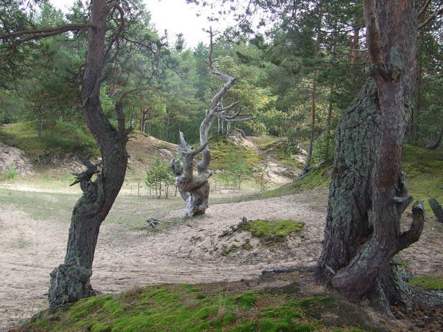 Прионежский район