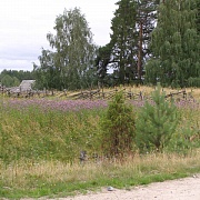 Сяргилахта