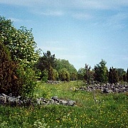 д.Яндомозеро