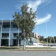 Ледовый дворец спорта