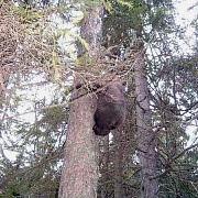 Зоокомплекс на о.Сямозеро