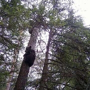 Зоокомплекс на о.Сямозеро