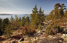 Высокие скалы Ладожских шхер